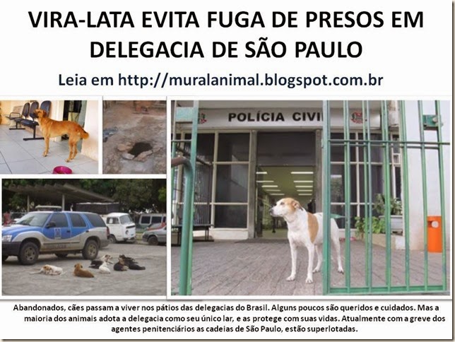 VIRA-LATA EVITA FUGA DE PRESOS EM DELEGACIA DE