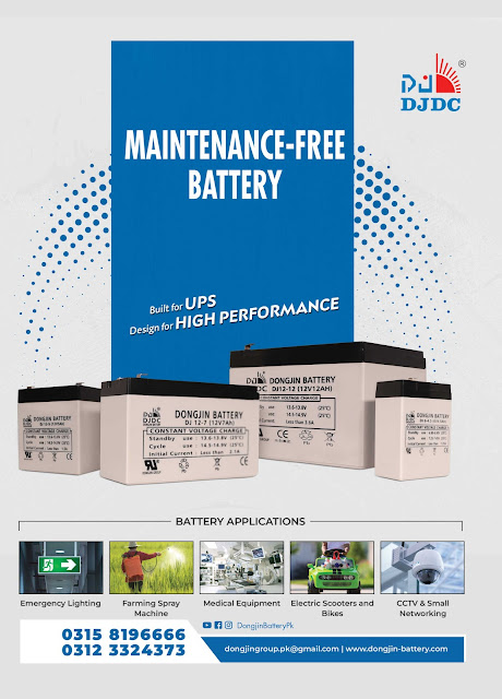 Dongjing Maintenance Free Battery