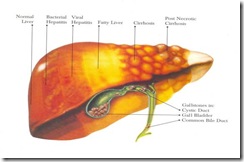 clip_image002[4]