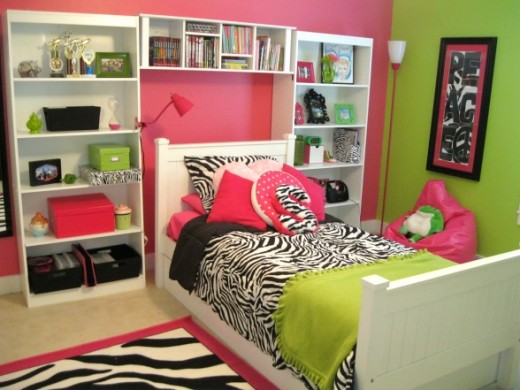 Zebra Room Decorating Ideas | DECORATING IDEAS