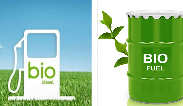 Cellulosic Biofuels for Sustainable Energy