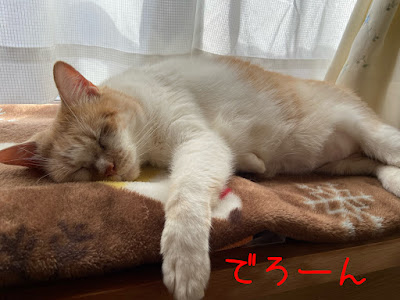 でろーん