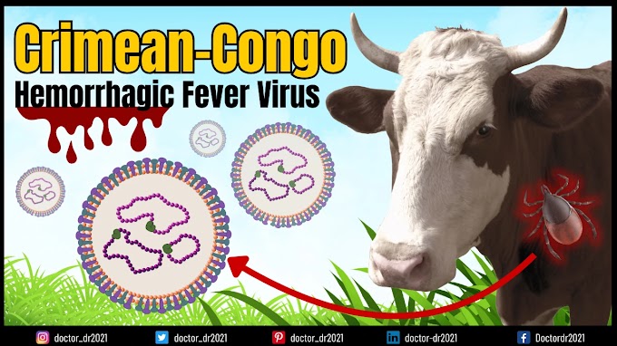 Crimean-Congo Hemorrhagic Fever Virus (CCHFV): Full Guide to Structure, Transmission, Symptoms, and Treatment