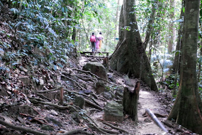 Kuala Tahan - Berjalan Ke Titi Gantung