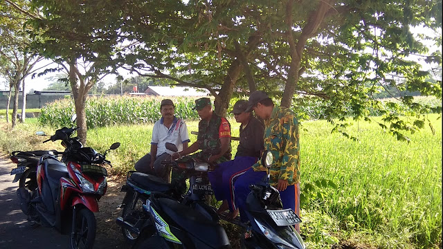 Babinsa Jogonalan Dekati Petani Dipinggir Sawah