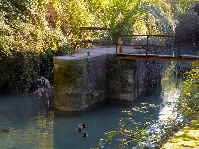 porto-del-maccagnano-bologna