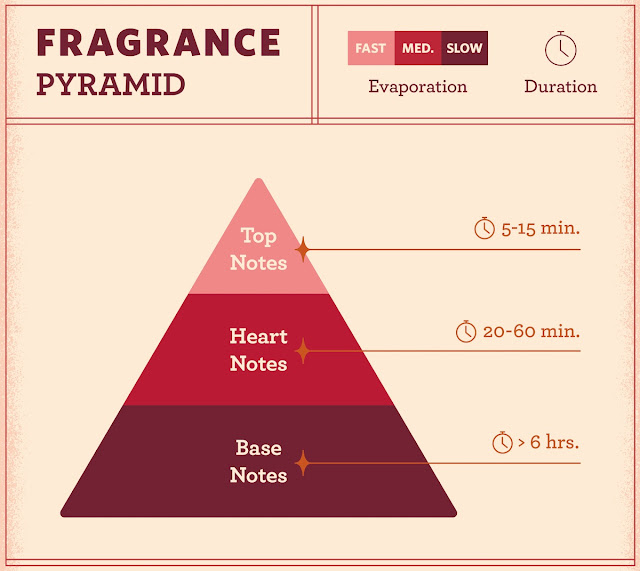 What Is The Perfume Pyramid?