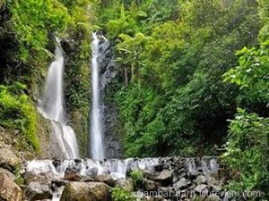 Keindahan Alam  Hutan  Kata kata  Mutiara Puisi  Dan Pantun