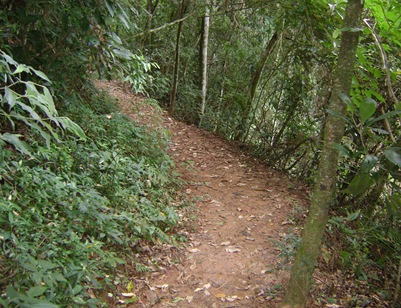 DSC00629