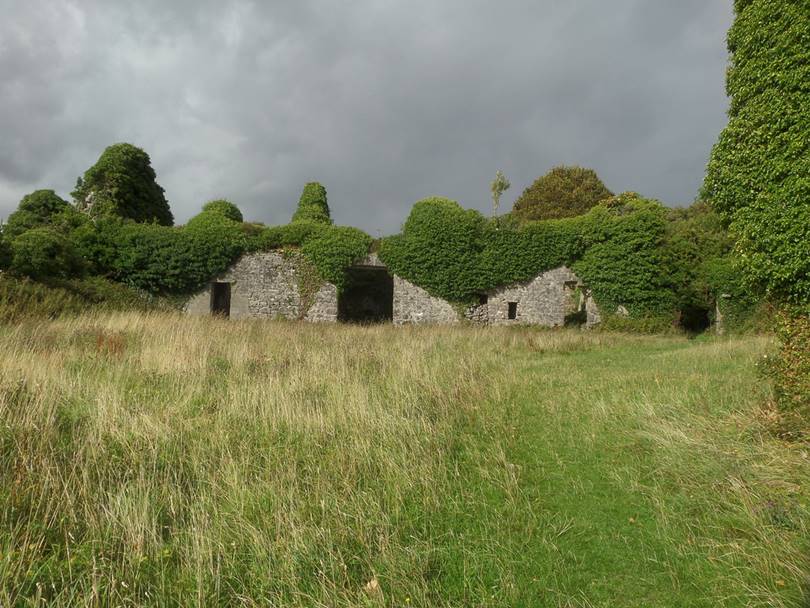 abandoned castles in ireland, castle near galway, castle near galway ireland, menlo castle ireland, menlo castle galway,