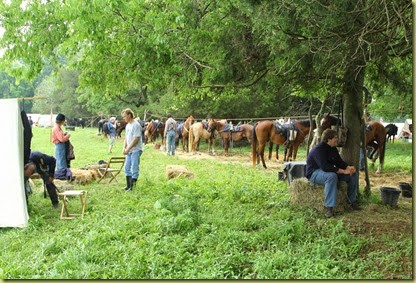 Camp 11