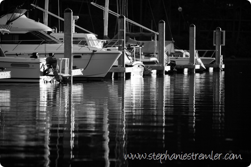 SanJuanIslandPhotographerWildlifeLandscape-114