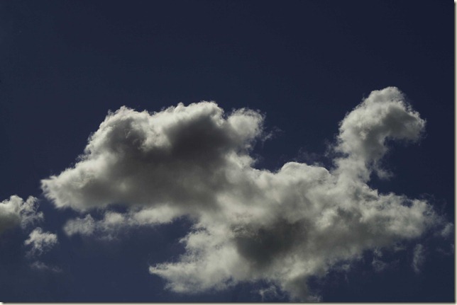 Dog Cloud