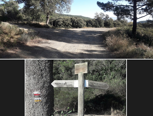 LA COGULLA - EL TOSSAL GROS Figuerola del Camp -(Alt Camp) -  Montblanc - (Conca de Barberà); Camí del Prat a Miramar (Figuerola del Camp) i cruïlla a l'Alzina Grossa
