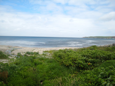 船泊湾の海岸