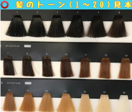 髪色戻しと黒染めの違いと重要な注意点 美容師 髪技屋さんの 髪ブログ