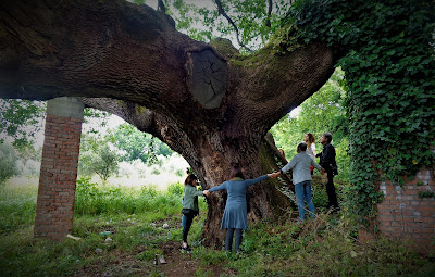 Alberi Sacri Yogini Associazione Culturale Orchestès Respiro Verde Legalberi presentano   YOGINI e ALBERI SACRI - PRIMA TAPPA:  "LA QUERCIA DEL CANCELLONE" RITUAL RETAKE HIRAPUR YOGINI RITUAL PERFORMANCE  concept a cura degli artisti: Marialuisa Sales e Massimo Livadiotti nell'ambito del progetto  "La Rigenerazione Mitologica"  Frascati, sabato 25 maggio 2019 dalle ore 11.15 (leggete attentamente fino in fondo  per tutte le informazioni!)  APPUNTAMENTO: ore 11.15 a Frascati all'incrocio tra Via del Tuscolo e Viale Borromini.  L'indirizzo e il luogo dell'appuntamento si trovano agevolmente anche su Google map.  INIZIO RETAKE ore 11.30. L'evento è gratuito, aperto anche ai bambini.  CONTATTI: deamadreshakti@gmail.com  whatsup 3349855519 - maxlivadia@gmail.com  COSA OCCORRE PER PARTECIPARE: i partecipanti debbono munirsi per il Retake di: guanti da giardinaggio o in lattice e un grosso sacco nero per rifiuti.   COSA FAREMO: la magnifica Quercia del Cancellone è uno degli alberi storici più noti d'Italia, che ha più di 400 anni ed è collocato in modo straordinario dinanzi al portale opera di Francesco Borromini. Ci incontreremo sabato 25 maggio, alle ore 11.15, per operare un Ritual Retake (pulizia dell'area dai rifiuti in modo rituale e consapevole ) seguito dalla puja (rito) alle 64 Yogini della tradizione indù Tantra Shakta.  Secondo la mitologia indiana le Yogini - esseri femminili assimilabili alle nostre ninfe, fate e streghe - dimorano anche nei pressi dei Grandi Alberi, nella vegetazione incolta e selvaggia. La puja alle Yogini, attraverso la recitazione dei loro 64 nomi, apporta i doni di benessere fisico e longevità, essendo queste divinità associate alle principali nadi (canali energetici) del corpo.  Questo Ritual Retake è la Prima Tappa di un percorso che si svolgerà compiutamente da autunno 2019 in poi e che onorerà molti Alberi Monumentali di Roma e del Lazio attraverso una catena di Performance Rituali dedicate alle 64 Yogini. In questo primo incontro utilizzeremo ritualmente la sequenza dei nomi delle 64 Yogini del Tempio di Hirapur in Orissa.  IL PROGETTO "YOGINI E ALBERI SACRI": Nel 2017 gli artisti Marialuisa Sales e Massimo Livadiotti hanno ideato un progetto di performance rituali partecipate, dei luoghi e dei simboli presenti nella città di Roma denominato "La Rigenerazione Mitologica".  In questo ambito si inserisce il percorso "Yogini e Alberi Sacri", che coniuga il riavvicinamento simbolico al valore degli Alberi con la ritualità evocativa della tradizione Shakta Tantra induista.