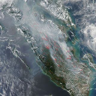 Gambar 5. Citra Satelit yang Menunjukkan Titik Api dan Asap di Pulau Sumatera