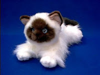 himalayan cat plush stuffed animal