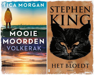 Wat ik nu lees van Tica Morgan en Stephen King