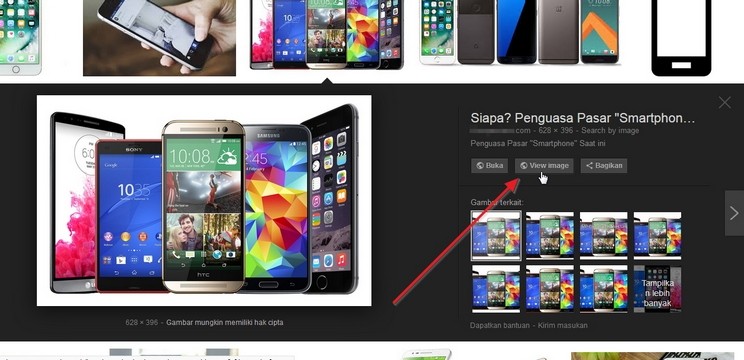 Tombol View Image di Google Search