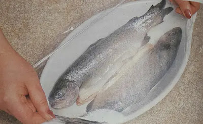 image of fish in plate