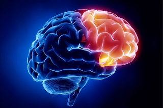 Brain: An Escalating Neurological Problem