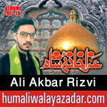http://www.humaliwalayazadar.com/2017/09/ali-akbar-rizvi-nohay-2018.html