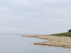 Lake Michigan beach