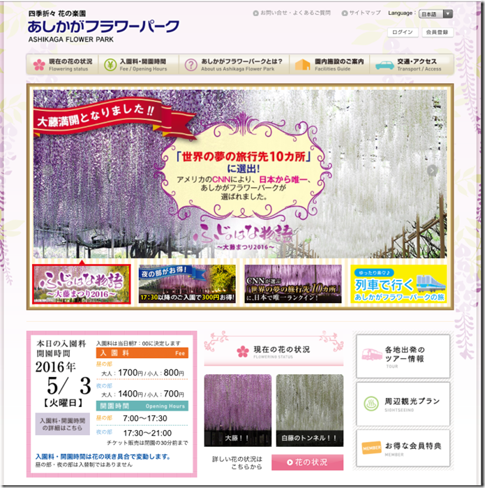 在最美的季節遇見足利紫籐花卉公園:門票交通攻略實況(上)07 在最美的季節遇見足利紫籐花卉公園:門票交通攻略實況(上)07