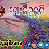 ଜନ୍ମଭୂମି - ଭବାନୀ ରାଜୁ , ରାୟଗଡ଼ା