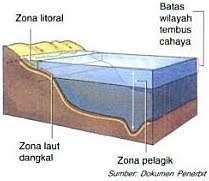 Ekosistem air laut ekosistem air laut dibagi menjadi tiga zona wilayah 