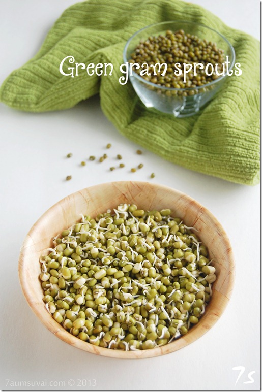 Homemade green gram sprouts