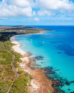 Cape Naturalist, Western Australia