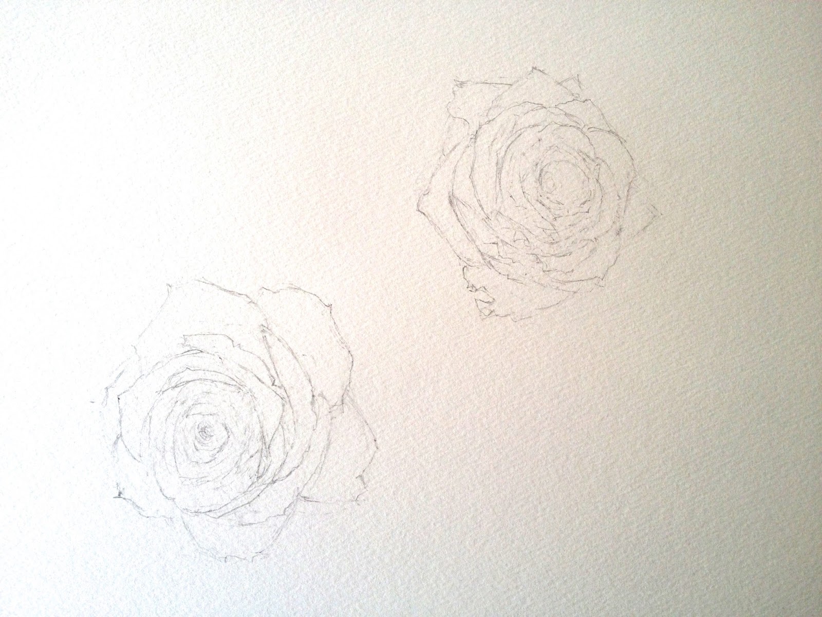 薔薇の制作過程と描き方を公開します Roselotus