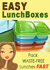 Easy Lunch Boxes