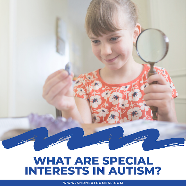 What are special interests in autism?