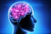 Your Brain's Superpower: How to Optimize Cognitive Function Naturally | Nick Fitness