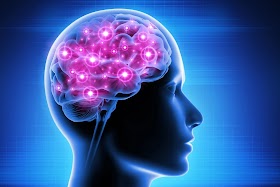 Your Brain's Superpower: How to Optimize Cognitive Function Naturally | Nick Fitness