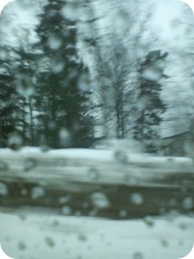 DSC00887
