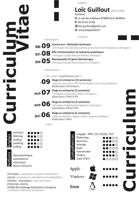 ejemplos de curriculum