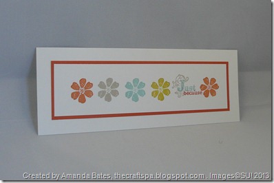 Patterned Occasions, The Craft Spa, SAB 2013, Stampin Up, SU (16)