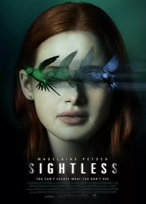 Download Sightless (2020) Dual Audio (Hindi-English) 480p [300MB] || 720p [850MB]