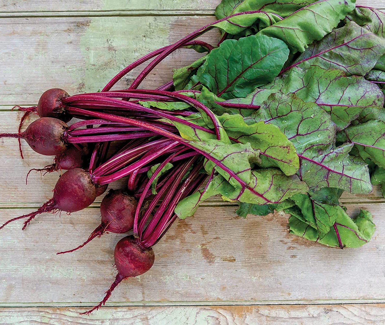 While beetroots are best known for their famous red color, their health benefits are not only limited to their color, but the leaves have a lot of health benefits, too.