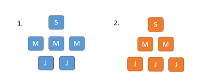 Team composition of seniors, middle and juniors