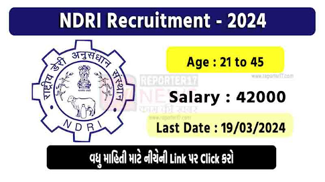 NDRI Recruitment 2024