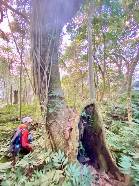 薩匹基山下山途中