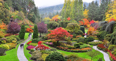 butchart gardens day tour