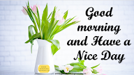 Good Morning Friends Have A Nice Day Meaning Urdu