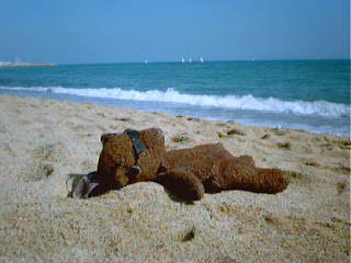 nude sunbathing teddy bear